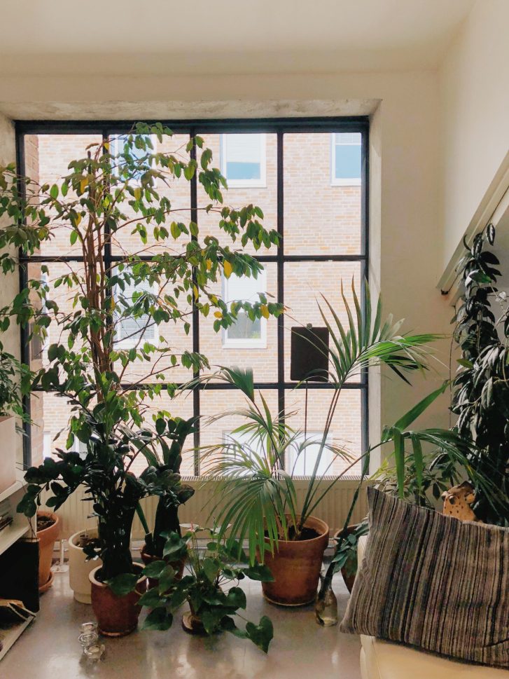 Decoración de Interiores